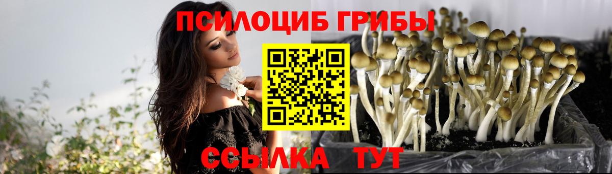 Ханты-Мансийск  Галлюциногенные грибы ЛСД  Псилоцибиновые грибы Psilocybine cubensis  Вход с VPN 